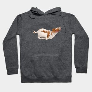 Hunting dog breed Pointer. Hoodie